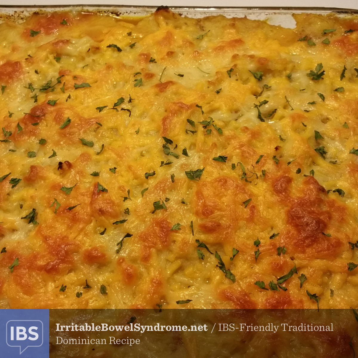 IBS-Friendly Traditional Dominican Recipe