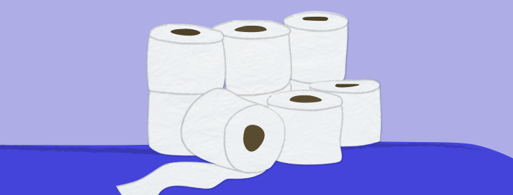 Numerous rolls of toilet paper