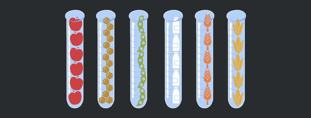 A series of test tubes lined up with different foods inside
