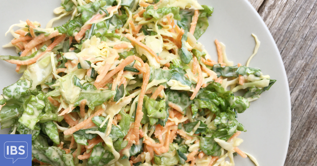 Cabbage Slaw Recipe | IrritableBowelSyndrome.net