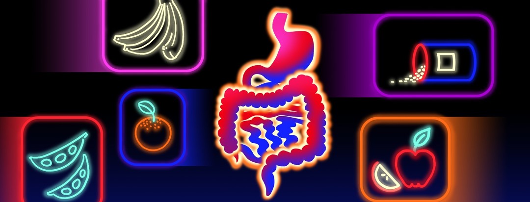 A GI tract floats in the middle as fibrous foods (lit up like neon signs) swoop and move behind it.