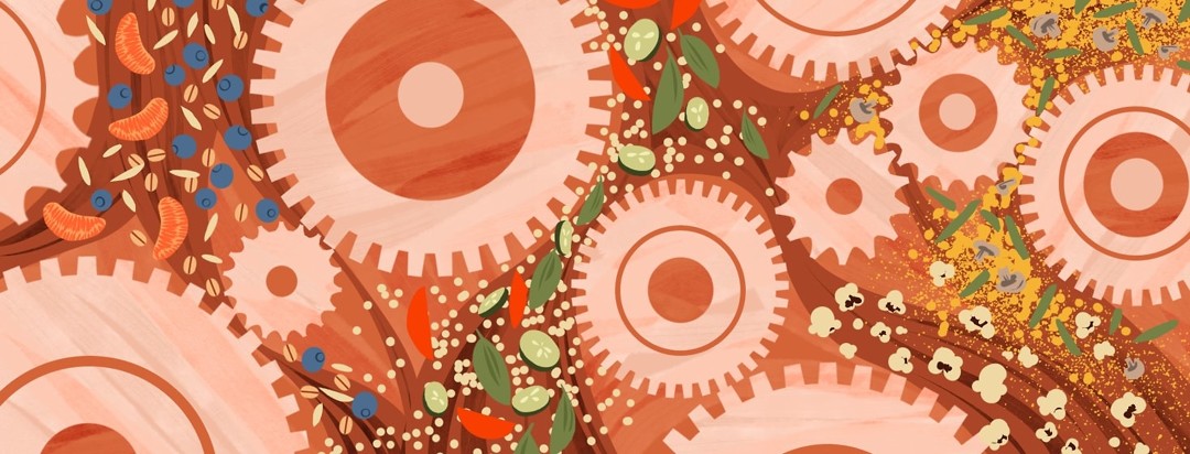 Light flesh-colored gears are surrounded by various foods moving smooth throughout.