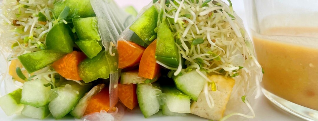 Colorful veggie wrap with dressing on the side
