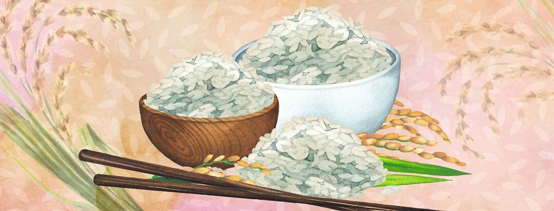 Bowls of White rice with rice grains on a watercolor background.