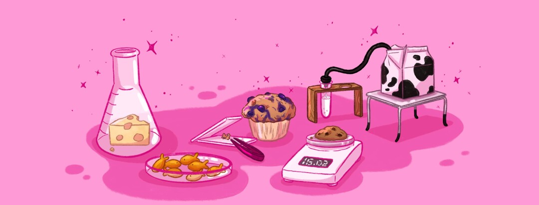 A science experiment set up of a beaker with a wedge of cheese, petri dish with goldfish crackers, a blueberry muffin with a small crumb sample on glass slides and tweezers, a chocolate chip cookie on a scale, and a small carton of milk with a tube apparatus connecting it to a test tube sit on a pink background