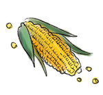 Ear of corn